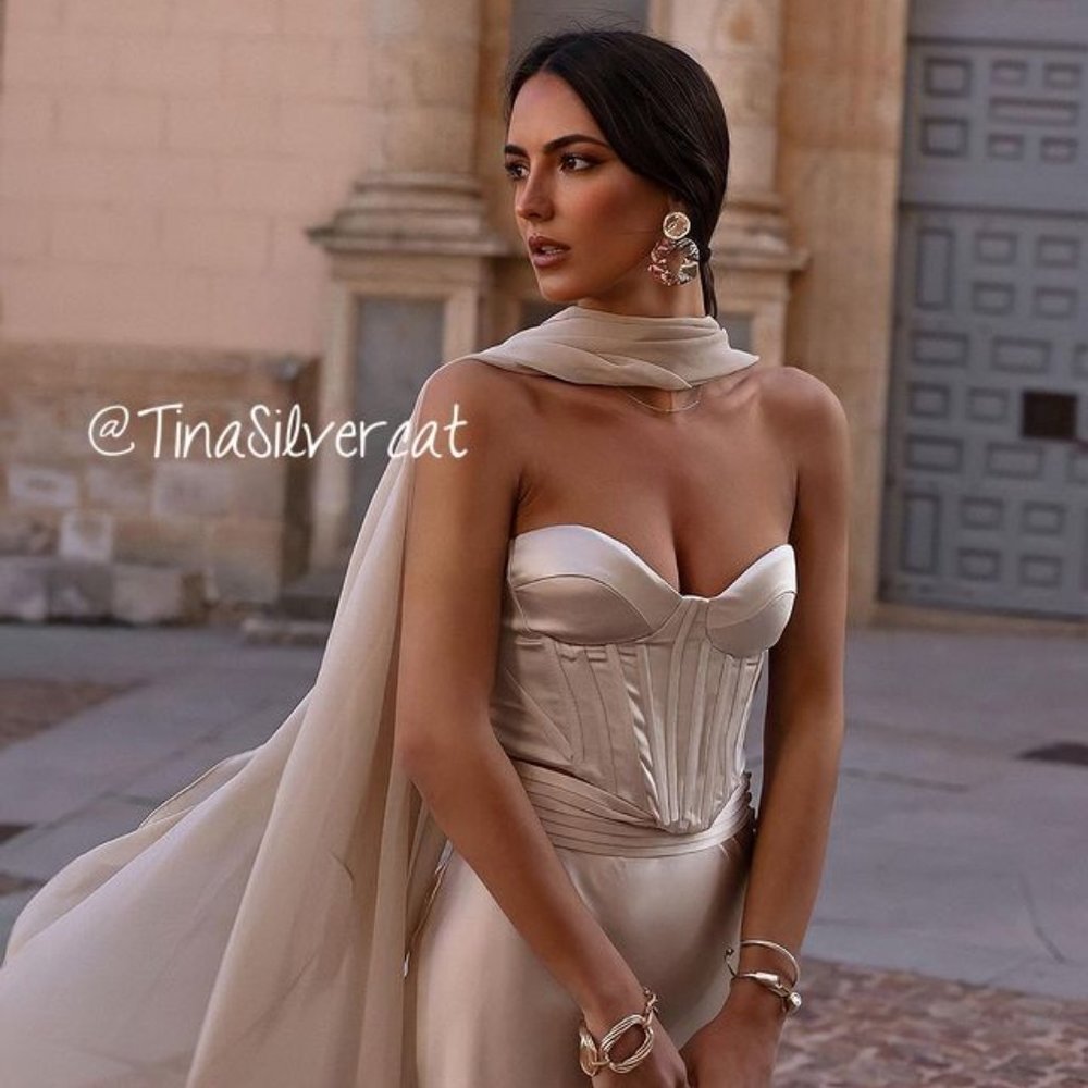 Zara Pearl Gray Satin Corset NWT